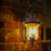 22"(H) Vintage Outdoor Wall Lantern, Weatherproof Exterior Sconce Light with Clear Glass Shade, Waterproof Wall Mount Light Fixture for Patio, Porch,